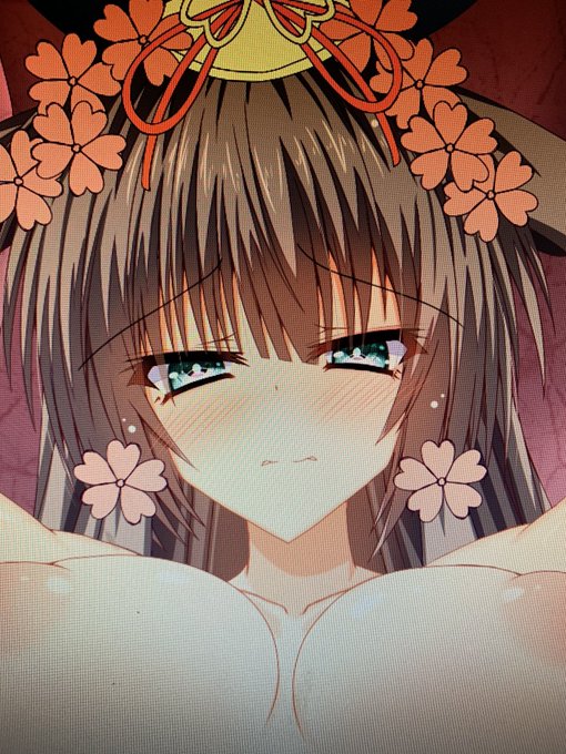 wip
コノハナサクヤ 