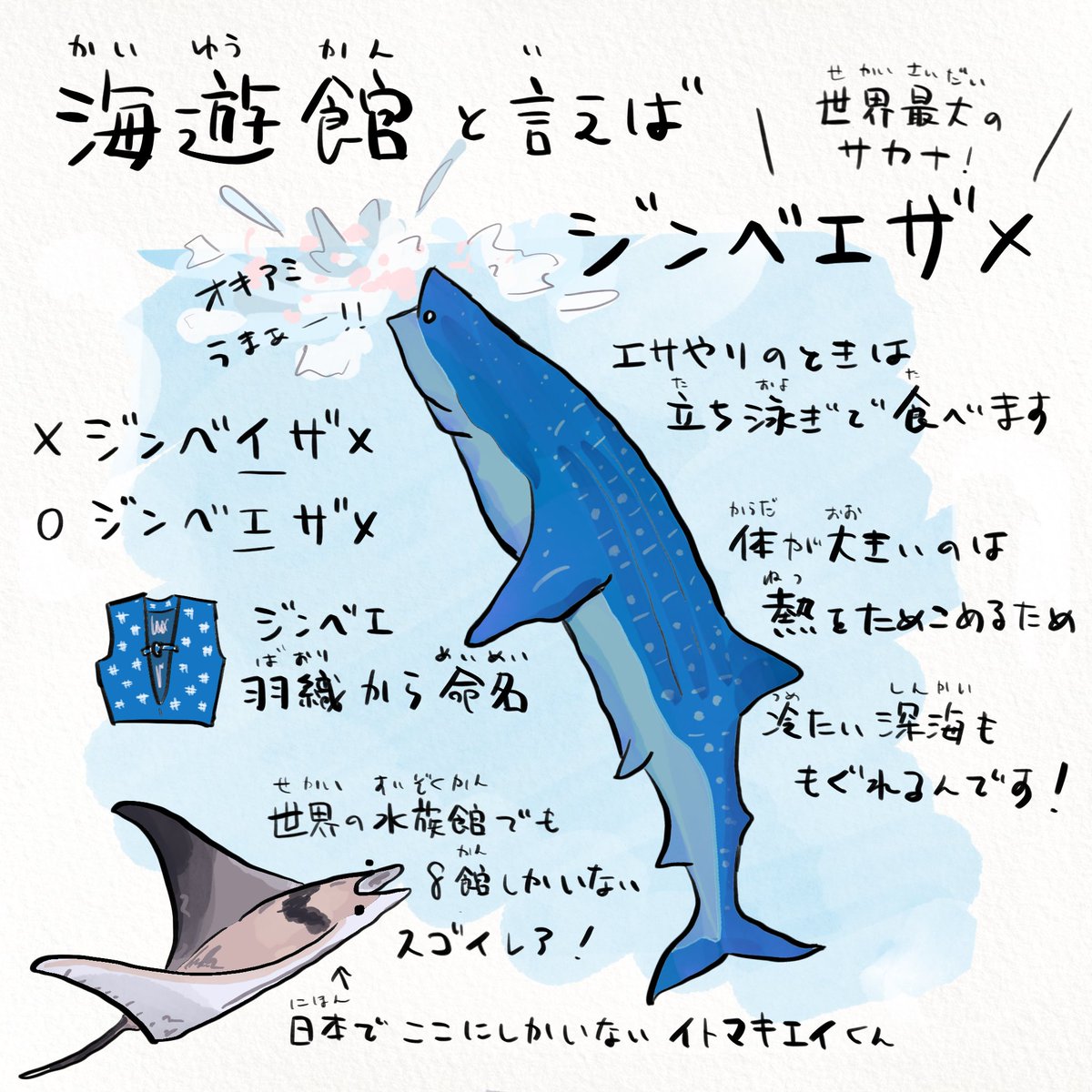 小さい頃から通ってる 海遊館 の魅力 イラストでまとめてみた 1 2 さかなのおにいさん かわちゃん の漫画