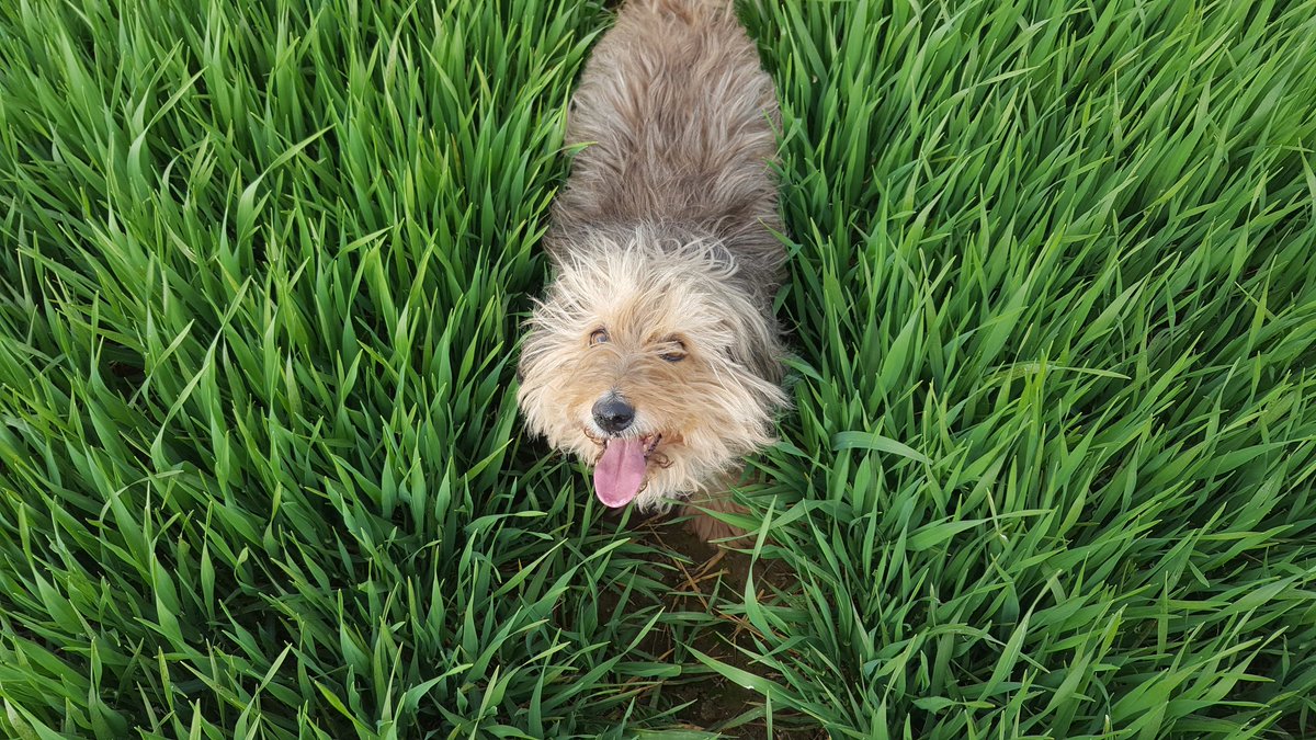 Day 4/7 of my life in pictures. Rules: no words, no people. Nominate someone new everyday. Today I nominate @JamieTorpey4