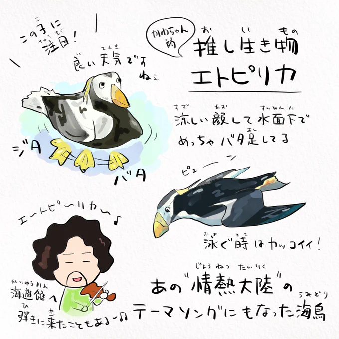 #海遊館 つづき(2/2)
小さい頃親に連れてきてもらい、遠足で行き、デートで行き、、いつか家族が増えたらみんなで手を繋いで今度はぼくが連れていく。
これからも、大切な人と思い出を重ねて行きたいと思います。
水族館スタッフのみなさん、いつもありがとう! 