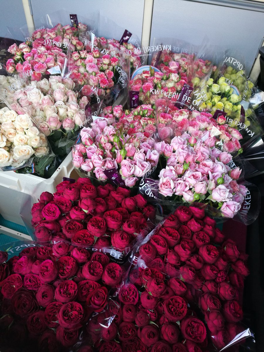 Bloemen voor bezieling - Jenevermuseum wil door in lastige tijden schiedam24.nl/nl/nieuws/uit-…