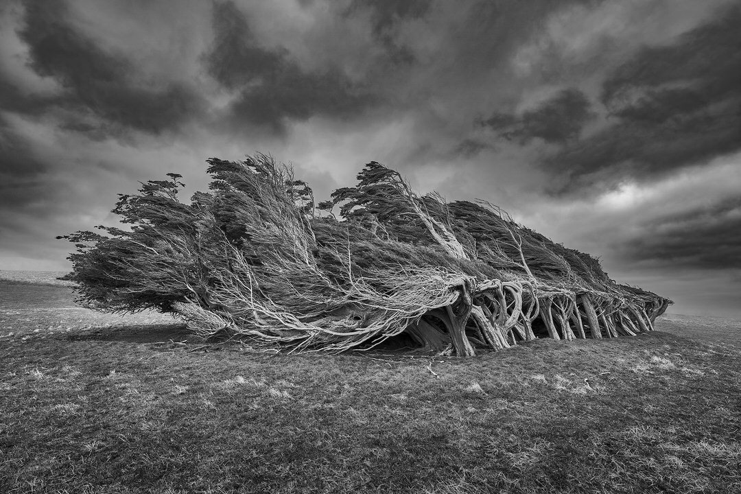 K Sharad Haksar tweet media