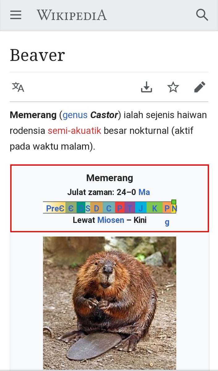 Enra On Twitter I See People Are Fascinating By These Adorable Creatures They Are Otters Dalam Bahasa Melayu Memerang If You Have Watched Zootopia You Would Know Mr Emmit Otterton Is