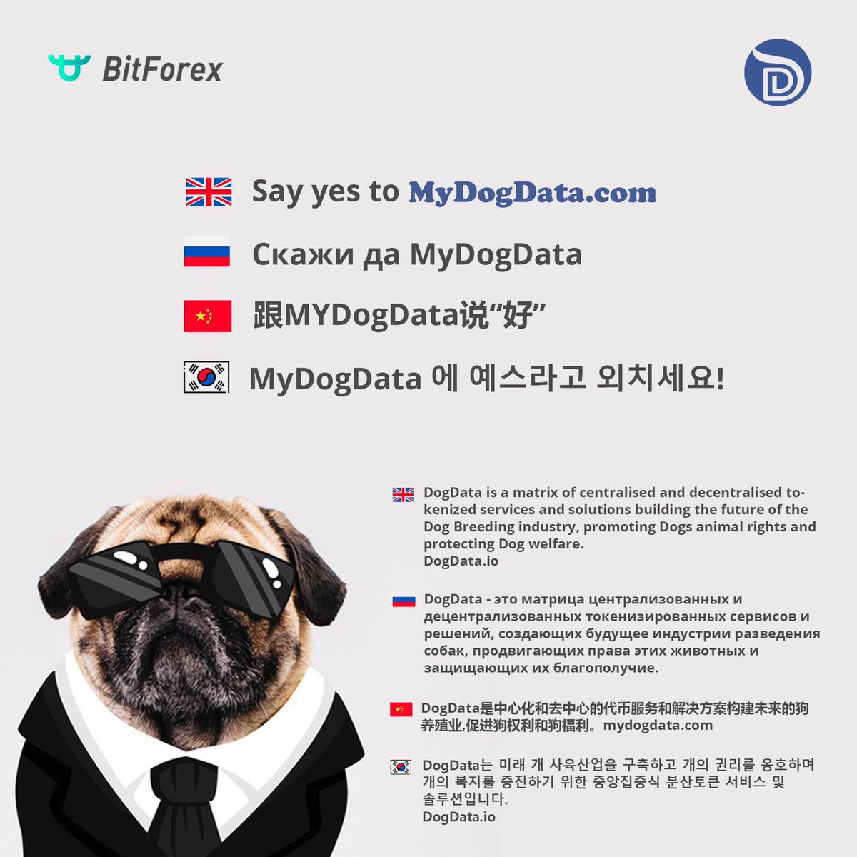 Sazia301's tweet image. Searchable Dog life Data  saved immutably  on a blockchain Explorer 
MyDogData.com  #crypto #dogdata #ieo #ethereum #doglife #tokensale #bitcoinhalving 
#DataAnalytics #ml #dogai #blockchain #BitForex