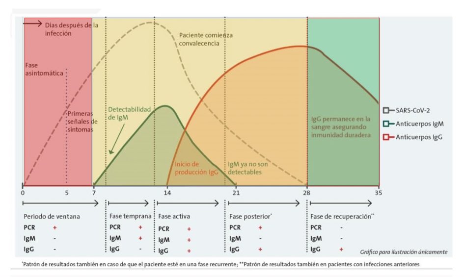 Gracias <a href="/DavidQutob/">David El-Qutob</a> por esta gráfica tan ilustrativa sobre PCR (que mide si hay #SARSCoV2) y anticuerpos IgM e IgG q son los que se miden en los test serológicos!Muy importante saber q información aporta cada una de ellas porque sino cometeremos errores! <a href="/adriacurran/">Adrià Curran</a> <a href="/sanidadgob/">Ministerio de Sanidad</a>