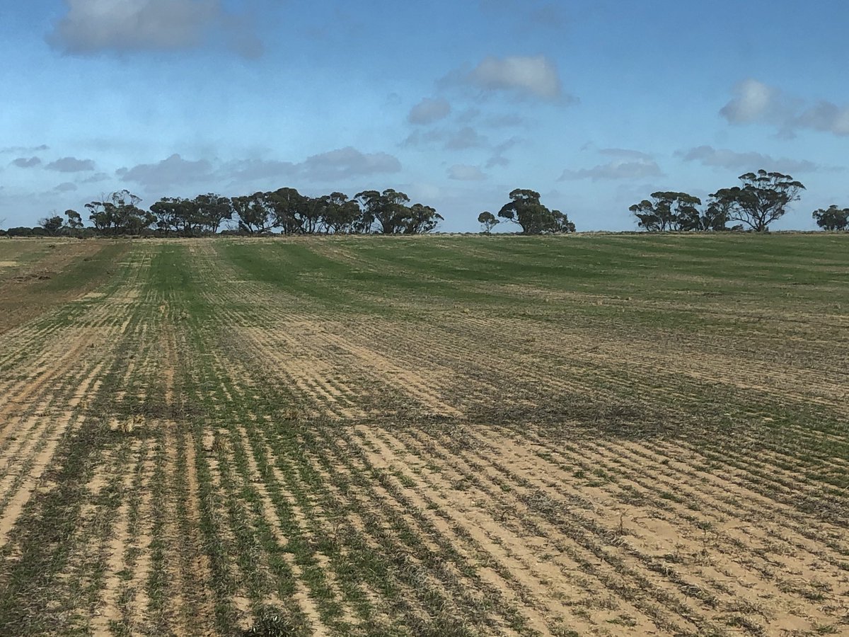 John Mitchell tweet media