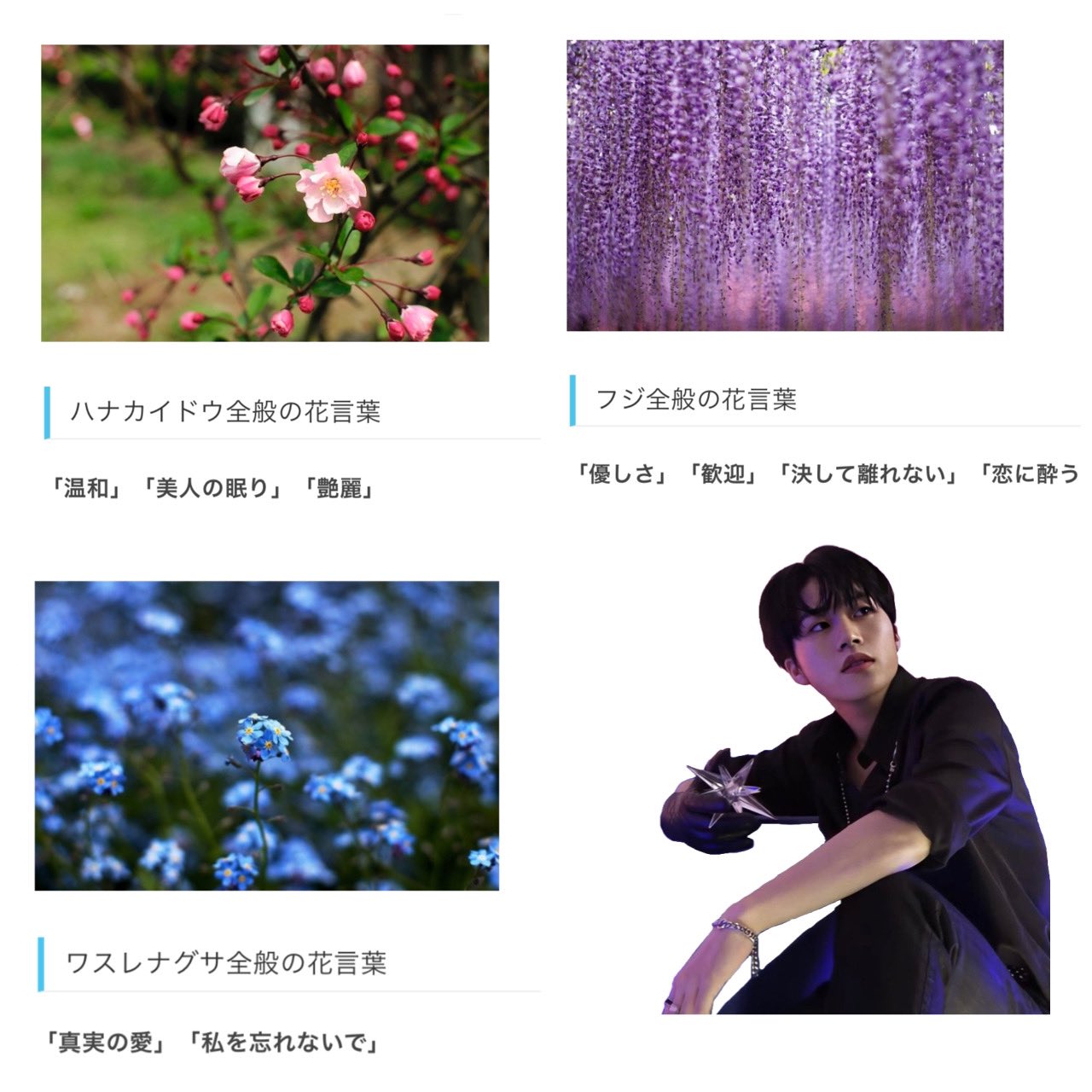 うり 木全の誕生日花と花言葉 サイトにより異なる Jo1 木全翔也 T Co Zpximmhbsr Twitter