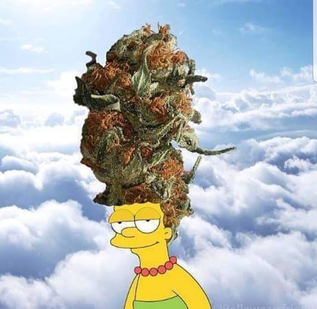 #highmadge 🙋‍♂️