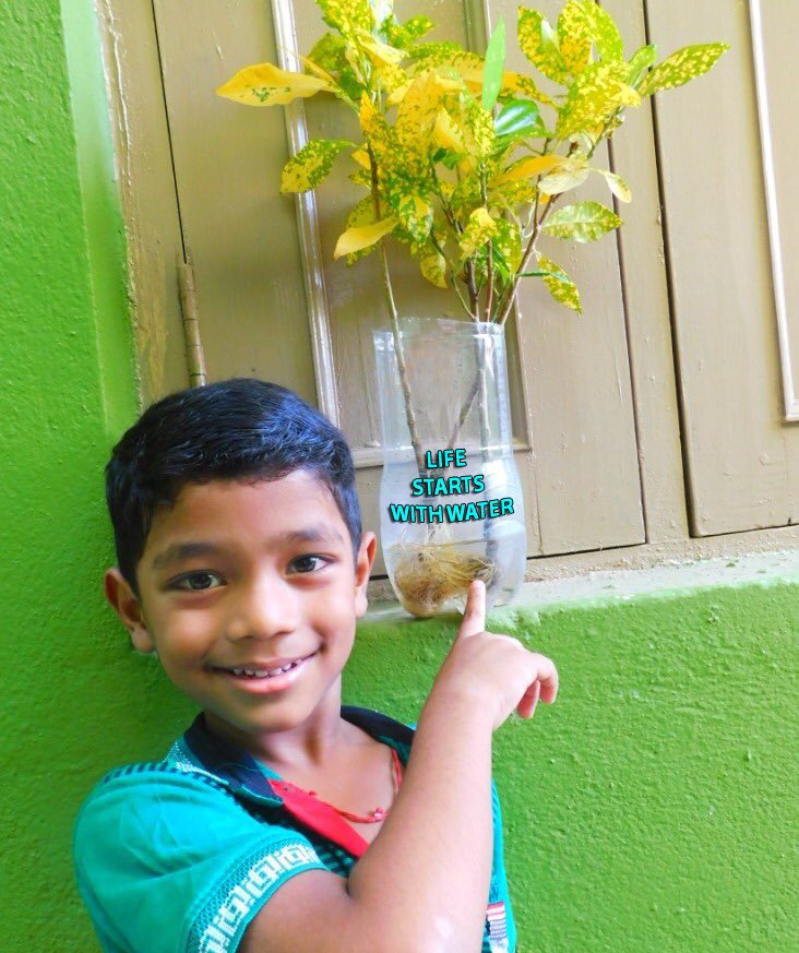 DK_Rise4Green's tweet photo. #StaySafe#StayGreenAtHome#EachOnePlantOne#Seedballs#UrbanFarming#LetProduce#ThenConsume#GrowOurOwnBalcony#IfNoFruits#WeHaveOxygen#Atleast @MahindraRise #Rise4Good @anandmahindra @SheetalMehta @vrindapisharody @Vivek_Nayer @C_P_Gurnani @Harsh_Soin @NaviMumbaiWetl1 @HPCL https://t.co/NnYYRlNCHG