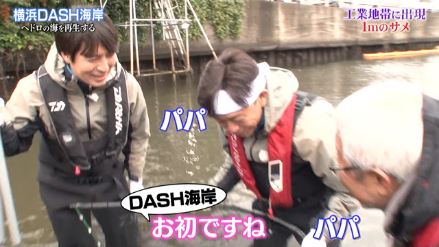 鉄腕dash Dash海岸の調査で2年前に発見してたけど時間の都合でカットした絶滅危惧種や大発見たちを公開 Togetter