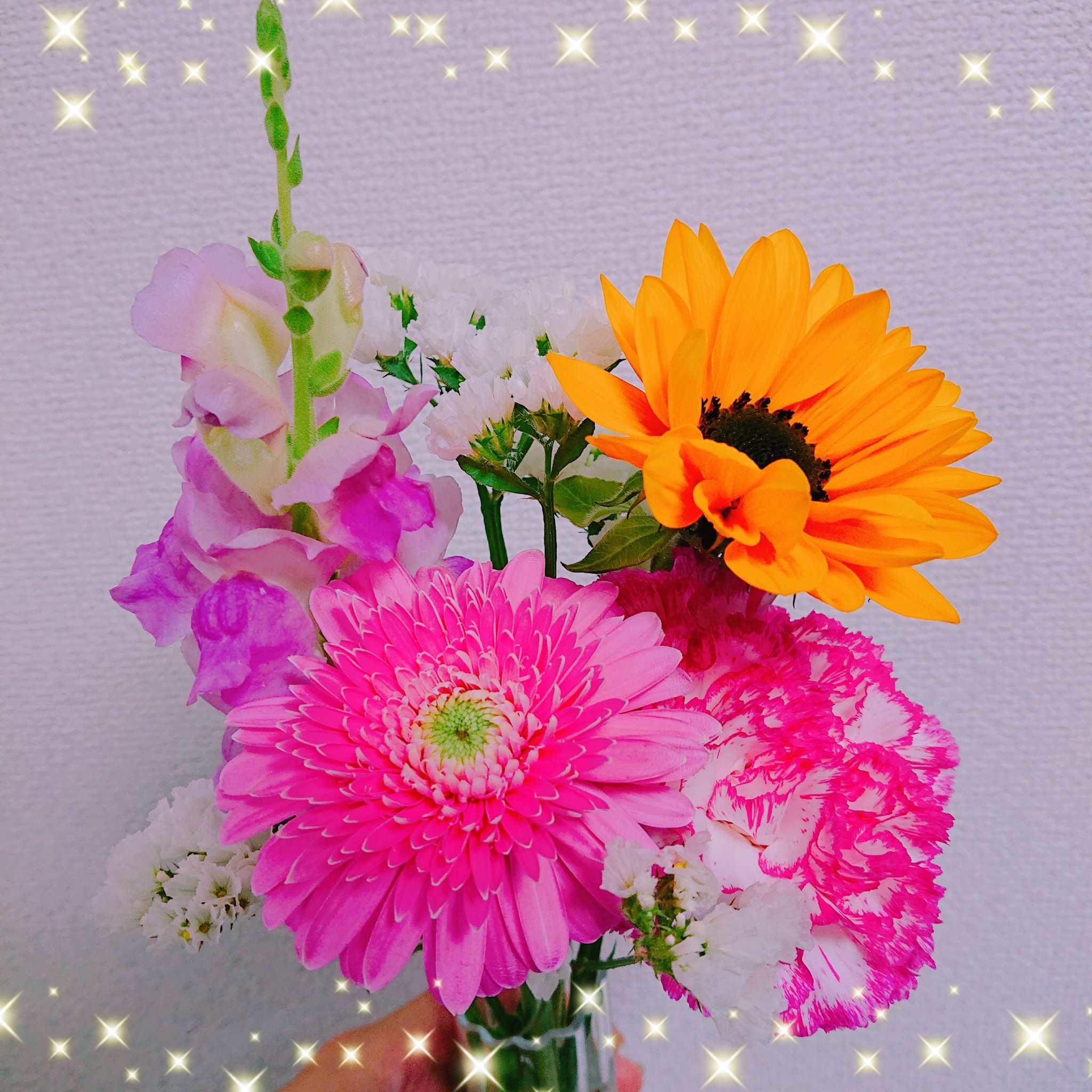 カラフルなお花 Twitter Search Twitter