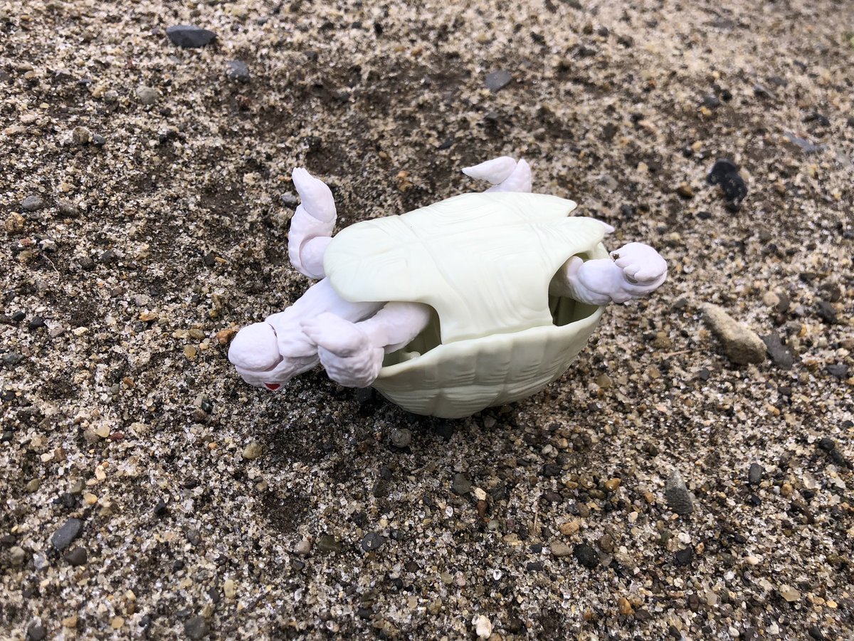 ガイス 君は砂漠を歩いていて 足下を見ると1匹のカメが這っている 君はそのカメをひっくり返す 灼けつく日差しの中 カメは元に戻れずもがいている しかし君は助けない 助けないのは何故だ ガイス 君は砂漠を歩いていて 足下を見ると1匹のカメが這っている 君はそのカメをひっくり返す 灼けつく日差しの中 カメは元に戻れずもがいている しかし君は助けない 助けないのは何故だ