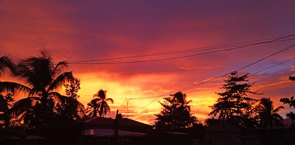 ivrsncnl's tweet photo. Don Carlos at 5:53 PM
No filter and not edited https://t.co/lLWQbRQZHJ