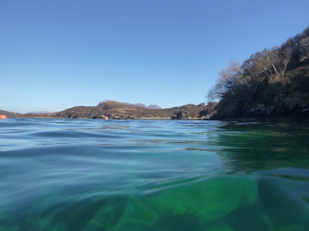 k1purl's tweet photo. These where taken yesterday below our house, which you can see in the photo. The waters so clear at the moment I’m off again later with my snorkelling gear. #lockdownexcercise https://t.co/sF0emYRHkl