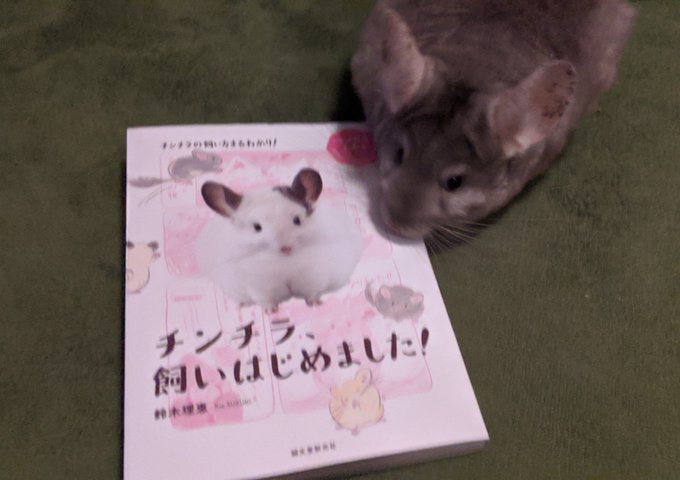 牛沢さん の人気ツイート 2 Whotwi グラフィカルtwitter分析