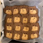 くまのアイスボックスクッキーの配置をミスった結果!密な満員電車のようになってしまった!