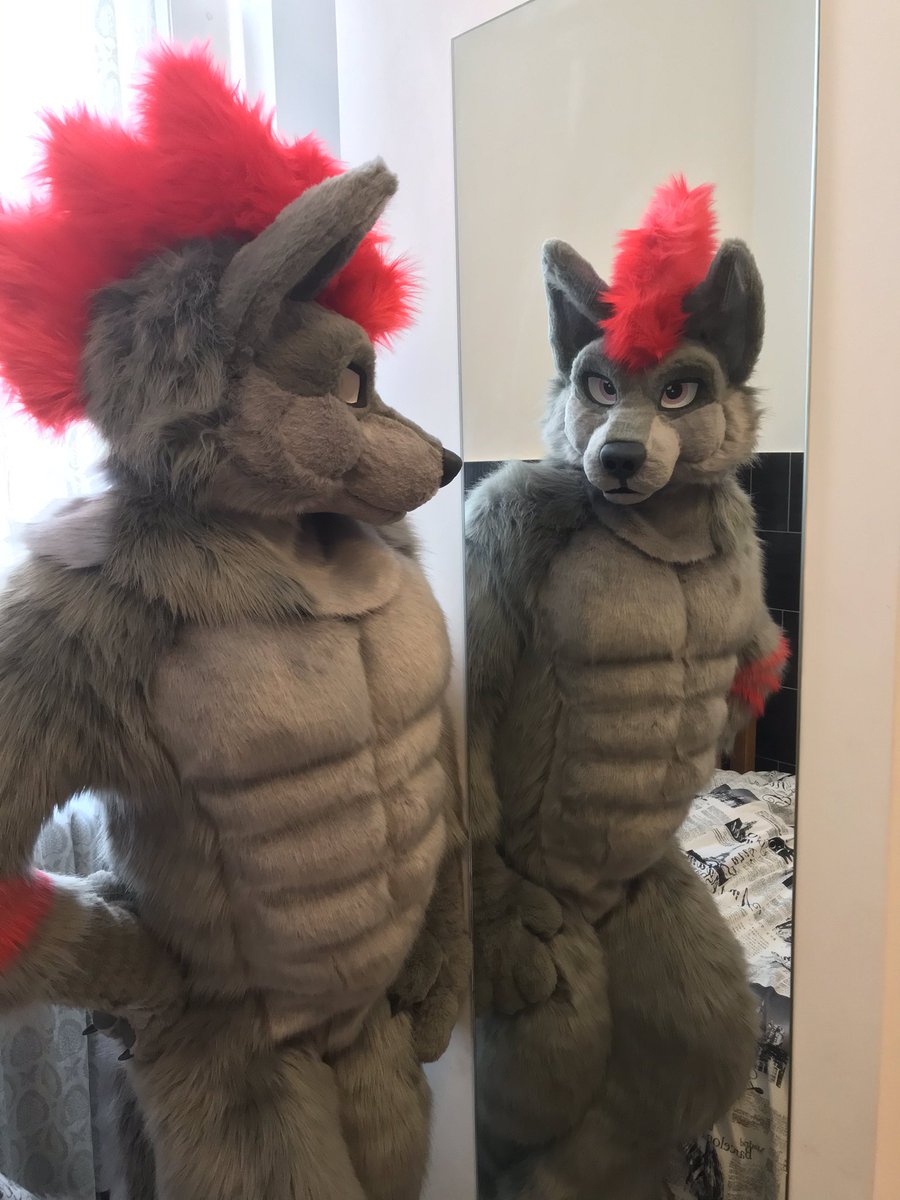 BadwolfBrock's tweet photo. Two wolves are better than one! ๐บ
#WolfWeekend https://t.co/5Mimaai0sk