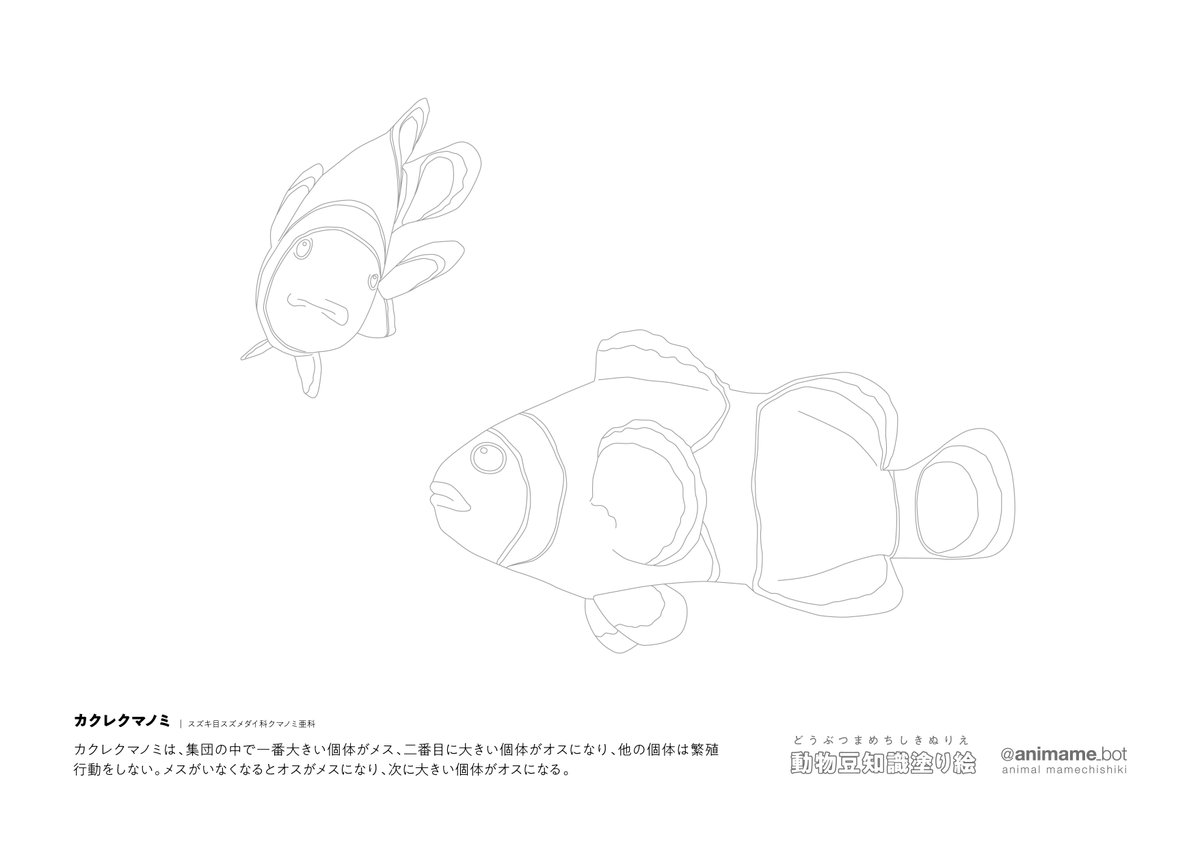 動物豆知識bot tweet media