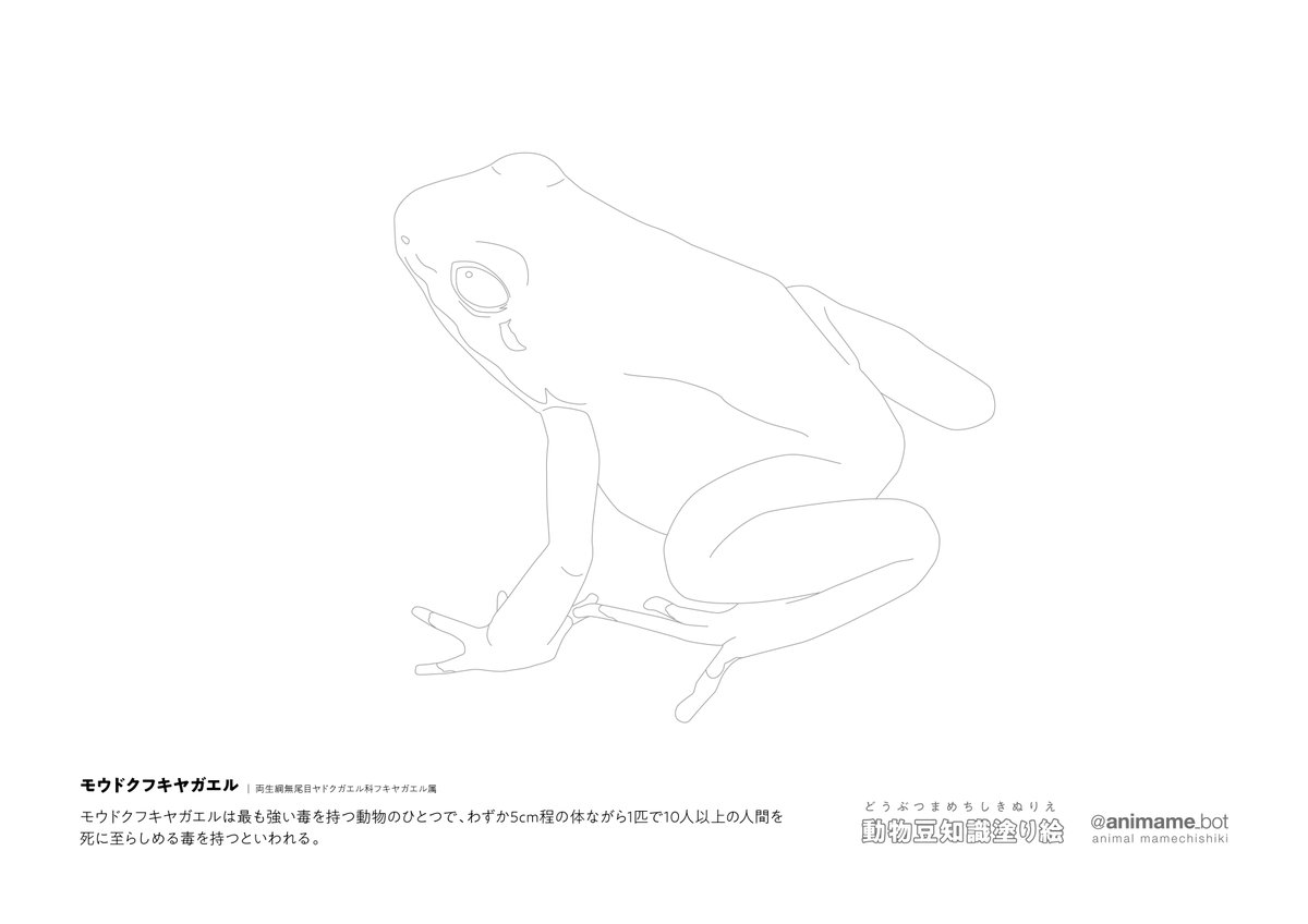 動物豆知識bot tweet media