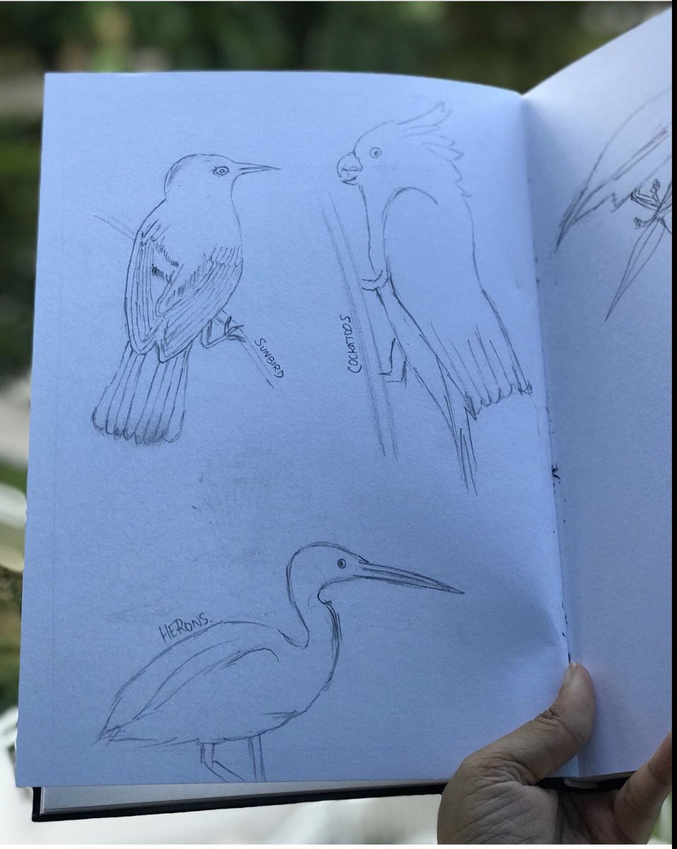 rramapriya's tweet photo. Pick up your favourite tool, pencil or stylus and join other SAIS educators, students in Instagram ( hashtag #saisdraws). Unwind and relax after a busy homed based work/ study day by drawing and benefiting from the healing effects of art. All are welcome #drawing #saisrocks https://t.co/eH30BJy8XO