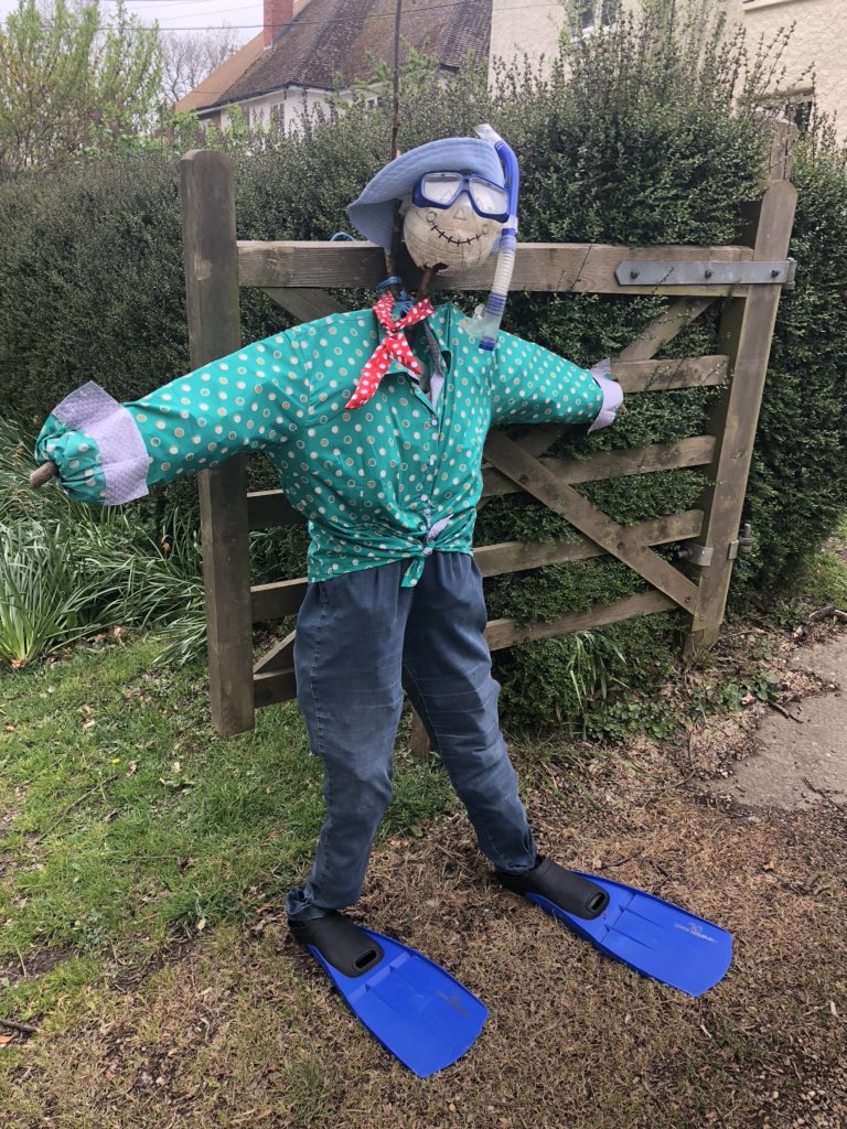 The Mount tweet media