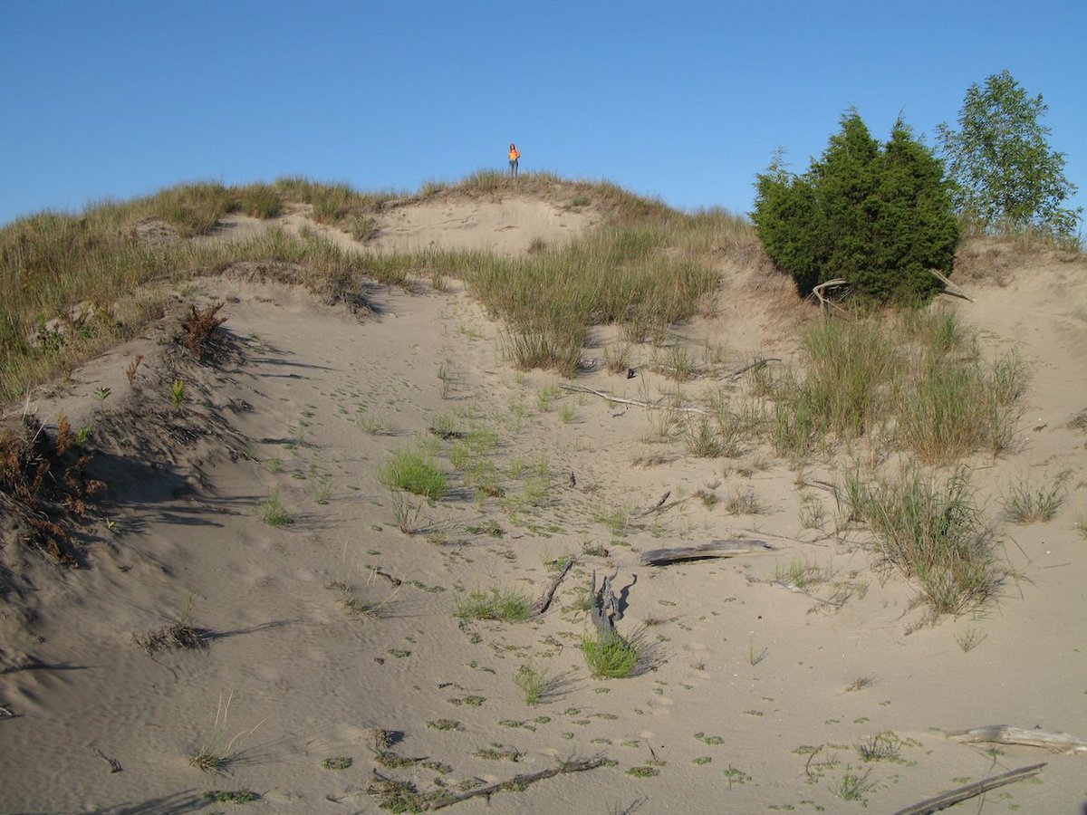 Long Point Biosphere tweet media