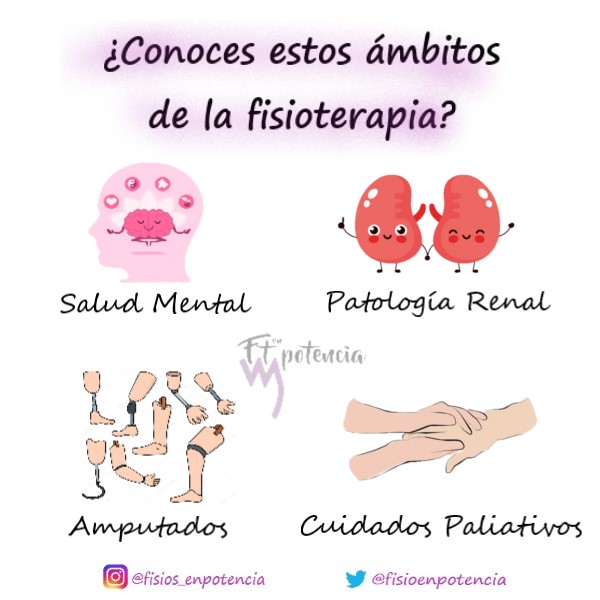 FisioEnPotencia's tweet photo. Con el fin de seguir aportando nuestro granito de arena, añadimos algunas ramas en las que podemos contribuir para mejorar el estado de salud ante la presencia de diferentes disfunciones #FisiosEnPotencia #Fisioterapia https://t.co/p3Hi0ZN3Pn