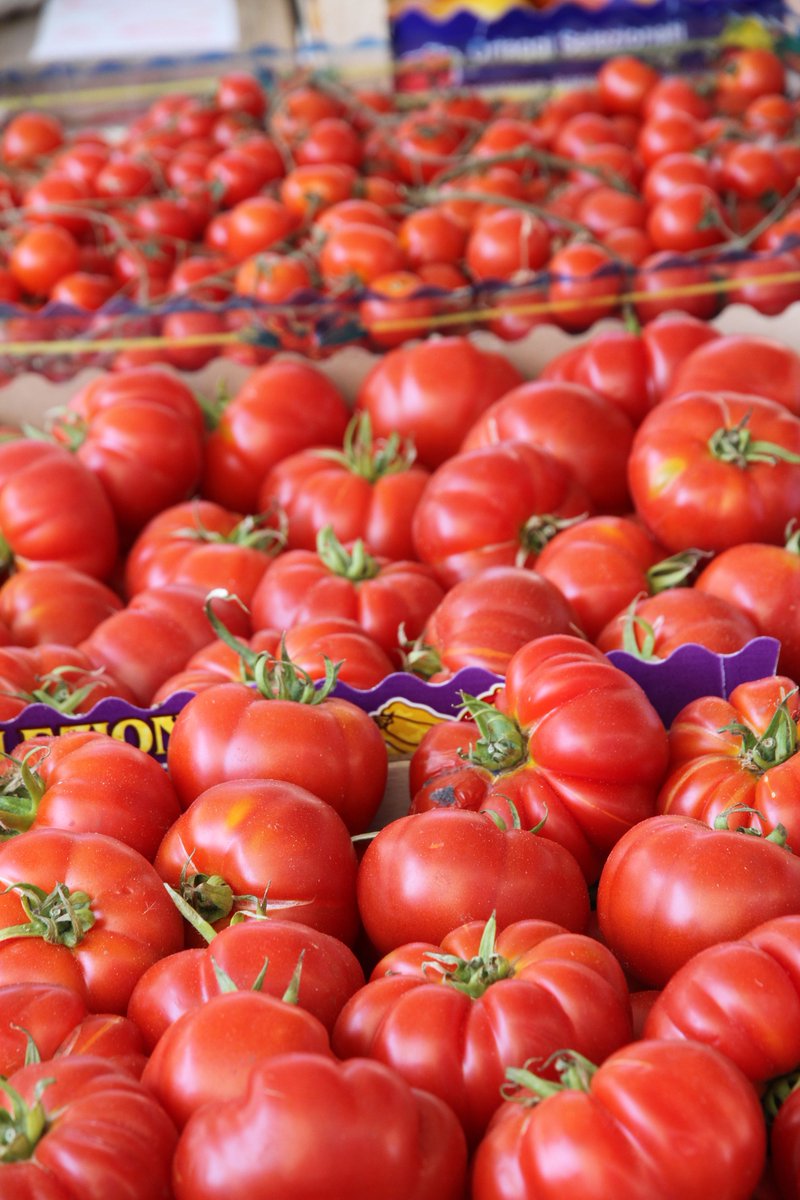 #IngredientSpotlight: We LOVE tomatoes - essential in the Sicilian diet! Not only are they versatile across many recipes, but tomatoes are a major source of lycopene, which has been linked to many health benefits, including reduced risk of heart disease and cancer.