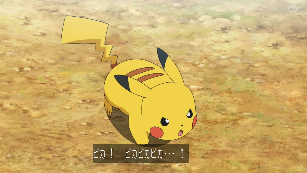 Kou Anipoke アニポケ カラサリスの進化を予想するピカチュウかわいい T Co Otkskq6ozg Twitter