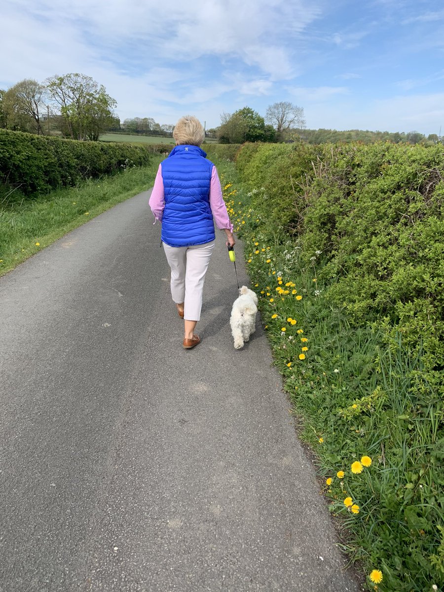 BobsRugbyLeague's tweet image. #Hurricane80KChallenge another 7K completed. The household #lockdown team joined me today! Walking  very locally under @FlintshireSkies #Wales whilst #SocialDistanacing #keepsafe  #keepsmiling and helping #Rafmuseam to #keepgoing