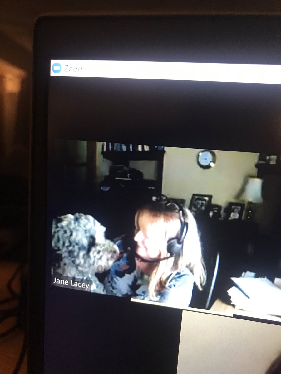 SENsational2018's tweet photo. We even had pets taking part in our online SEN choir rehearsal! 💜 #inclusionthroughmusic #sen #choir #wellbeing #lockdown @cjstrumsguitar @JaneyLacey12 @2020Makaton @CantAcadTrust @CburyAcademy @MakatonCharity @SENsational2018 https://t.co/jfmbxxY6zN