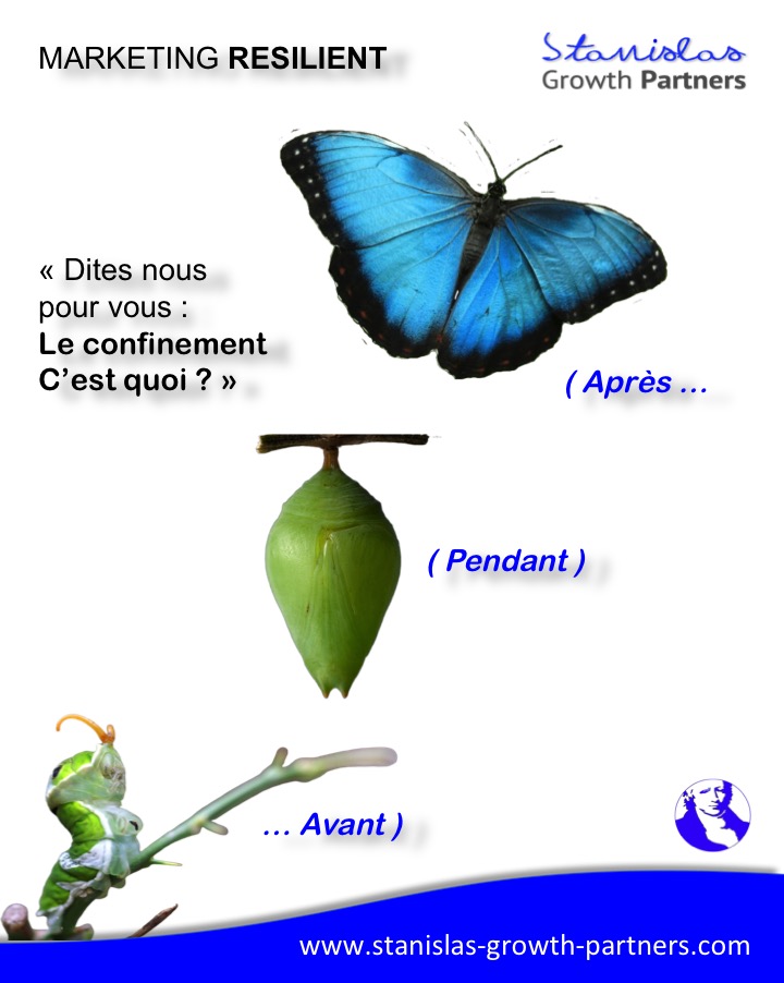 Stanislas Growth Partners tweet media