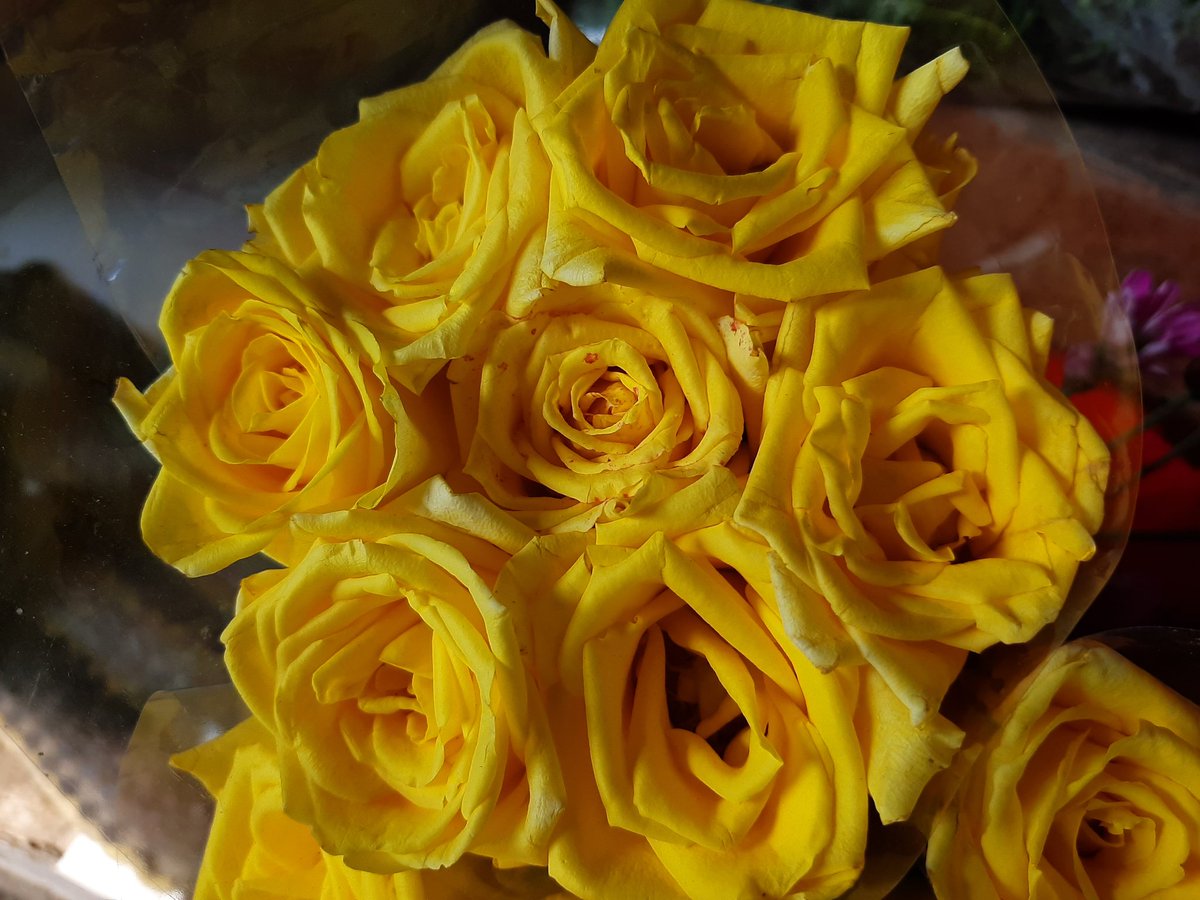 'Terancam' putus krn pacar ngambek?
WA dan DM di blokir?
PSBB melengkapinya? 😔

Kamu #ButuhDriver buat 
- Anter Rayuan 
-Anter makanan 
- Belanja 
Atau apapun di lokasi kemanggisan, kb jeruk, meruya, joglo, tj duren, palmerah, slipi dan area rindu lainnya, DM aku ya 🤗