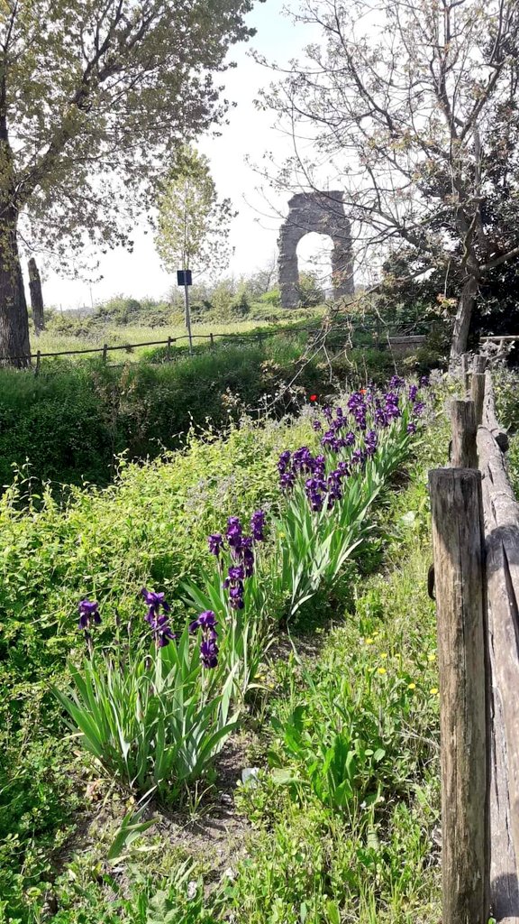 Parco Appia Antica tweet media