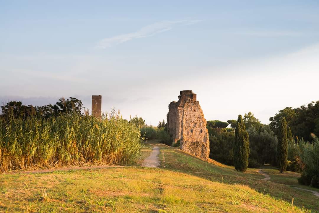 Parco Appia Antica tweet media