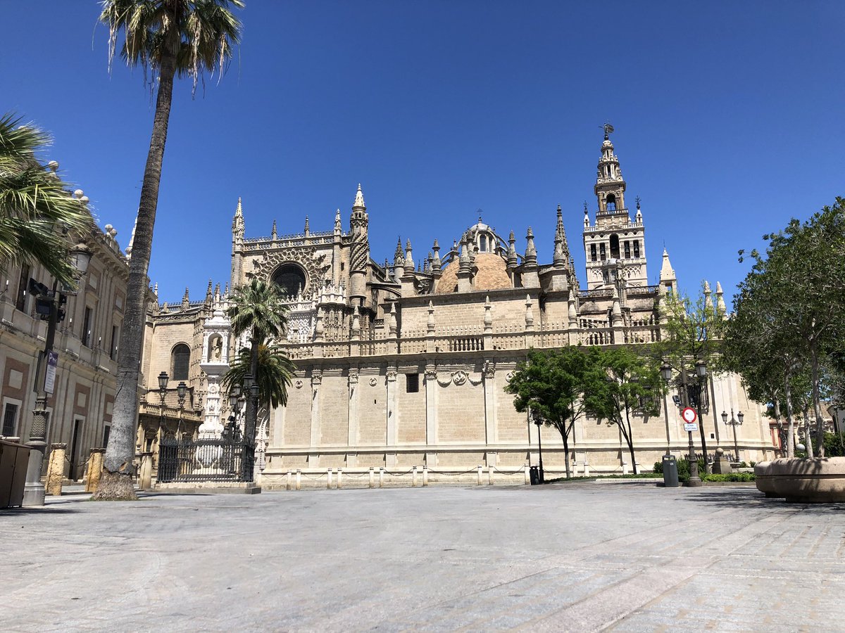 FranVergara94's tweet photo. Todo en orden por SEVILLA. 

Maravilla del mundo. Una ciudad EJEMPLAR.

Pronto saldremos de esta situación, todos juntos. 

#SevillaHoy https://t.co/Tgb3QuAPik