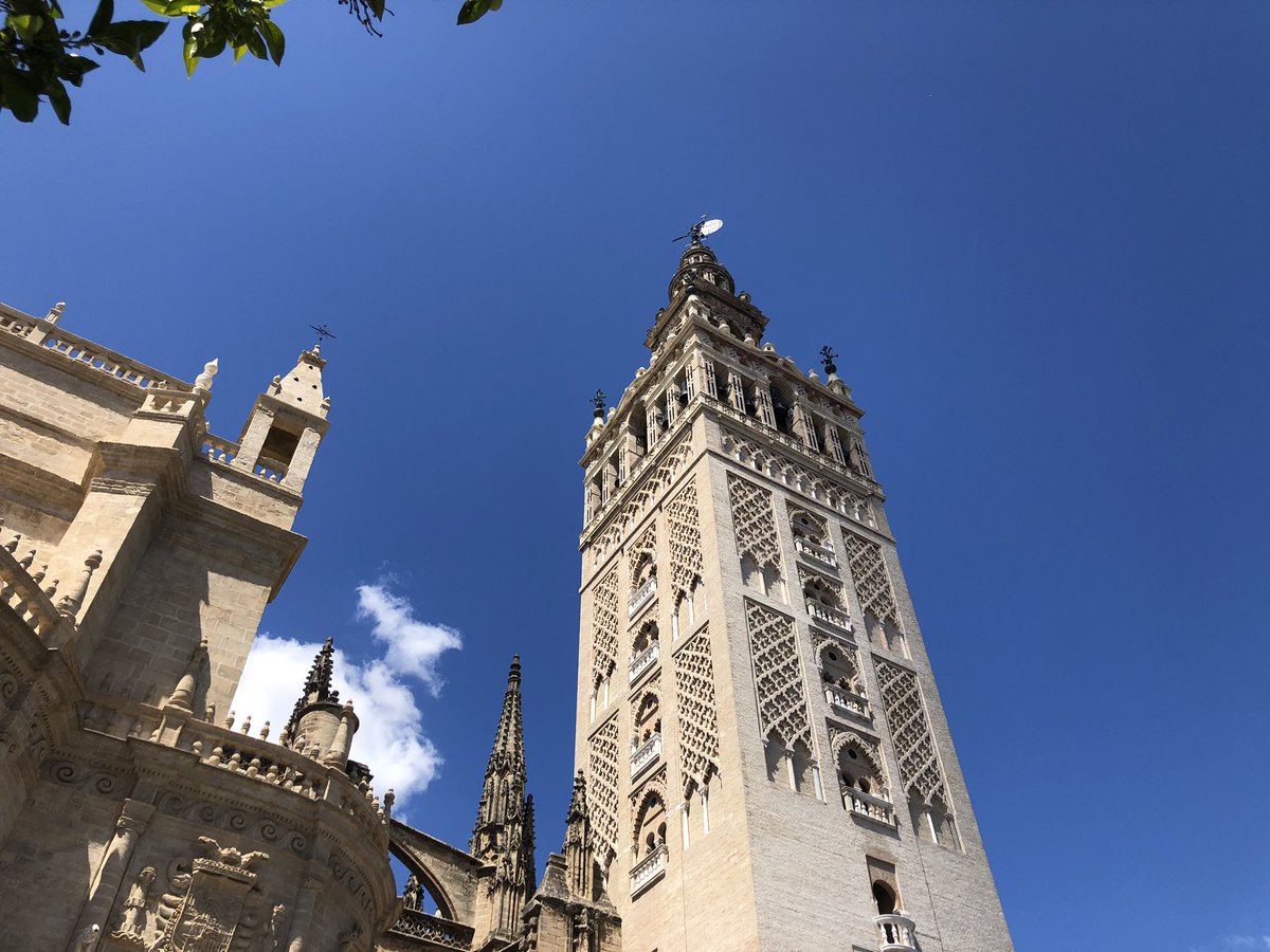 FranVergara94's tweet photo. Todo en orden por SEVILLA. 

Maravilla del mundo. Una ciudad EJEMPLAR.

Pronto saldremos de esta situación, todos juntos. 

#SevillaHoy https://t.co/Tgb3QuAPik