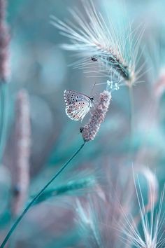 marilsatinello's tweet photo. 🔹💠🌷💠🔹Enquanto houver vontade de lutar... Haverá esperança de viver...🔹💠🌷💠🔹
🔹💠🌷💠🔹Bom dia de domingo para todos os amigos!🔹💠🌷💠🔹 https://t.co/0ry5Qv3Ae6