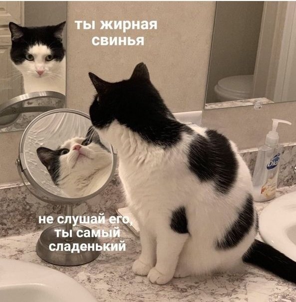 Лунный Луи (@sasha_piee) on Twitter photo 