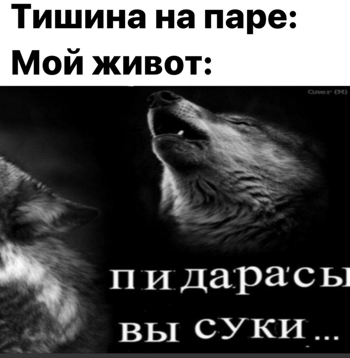 Лунный Луи (@sasha_piee) on Twitter photo 