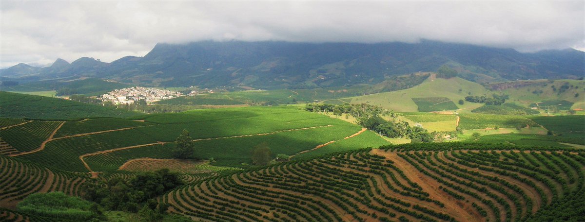 Ever wanted to know how our luxury coffee bags are made? Look no further!
thelittlecoffeebagco.com/from-bean-to-b…