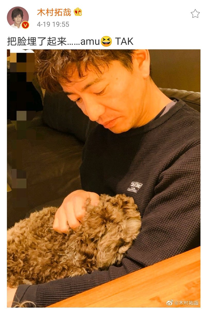 恍惚的猫 C C 把脸埋了起来 Amu Tak 木村拓哉