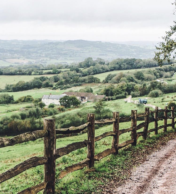 Countryside walks. Зеленая изгородь Сельская Англия. Деревенский забор. Деревенский пейзаж. Забор в деревне.