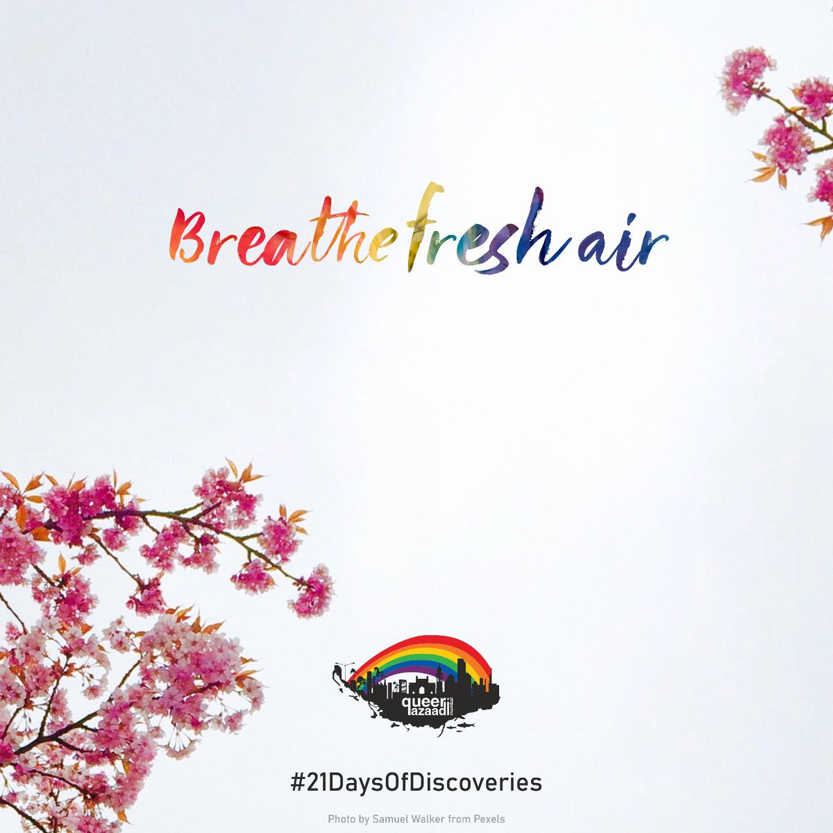 queer_azaadi's tweet photo. Breathe fresh air π¦
#QAM #FreshAir #21DaysofDiscoveries #MumbaiPride #21daysofLockdown https://t.co/EdWRSJ5GAy