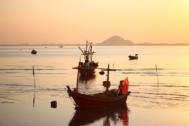 nereusprogram's tweet photo. APPLY for postdoc opening in partnership with @ASU & @ConservationOrg! Collaborate with a team to assess the global prevalence of human rights abuses in the seafood sector in #wildcapture #fisheries @peopledseas
Deadline: May 1, 2020
Link: https://t.co/5liWKY1CMc https://t.co/6EBsbXvf6v