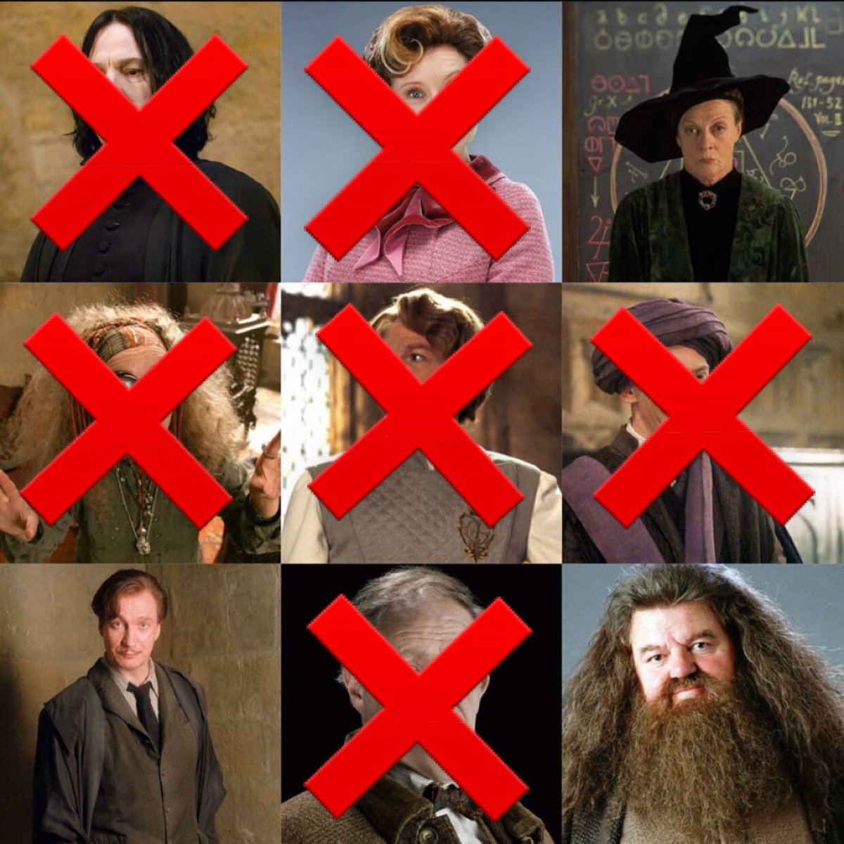 McGonagall, Lupin, and Hagrid are all that remain.It’s very hard to decide who your least favorite is amongst these three, but we must finish the game!Reply to this tweet with your LEAST favorite professor. The one who is mentioned the most in the replies will be eliminated.