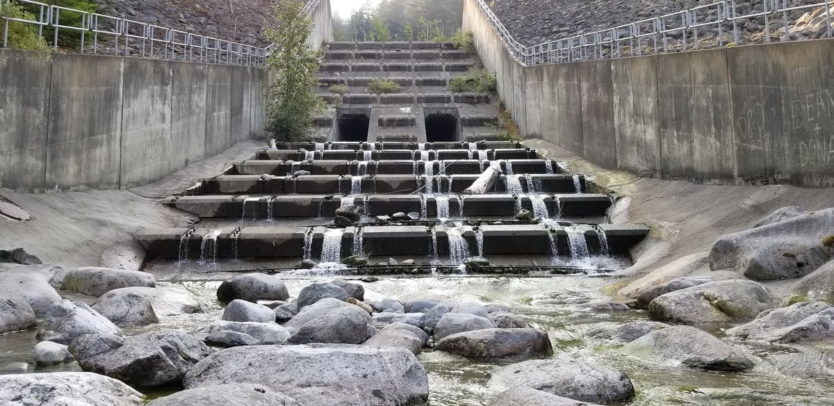 LANMonkeyGC's tweet photo. Love a unique #EarthCache?
Me too! Check out the ones I've highlighted and provided tips on in your copy of the #Geocaching Guidebook!
➡️ https://t.co/iER5Gj2baW 
⛰️😍🔝🔟
@GoGeocaching @hellobc  #geocaching #GoGeocaching #Vancouver #BritishColumbia #explore #adventure #travel https://t.co/jwy7vdBAp1
