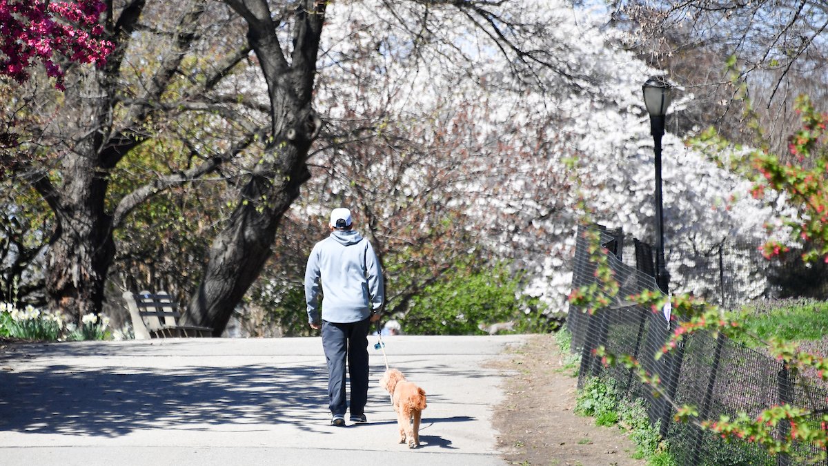 NYC Parks tweet media