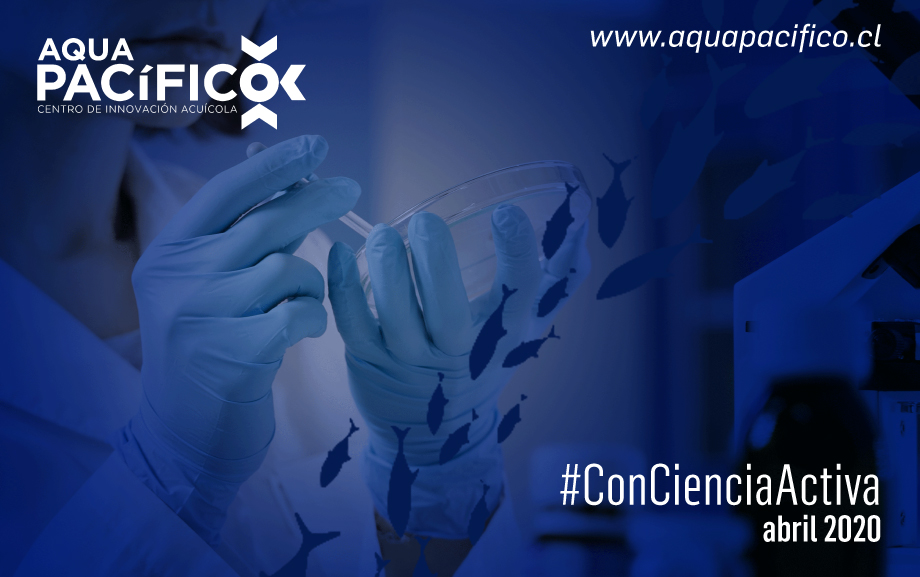 El 46% de los biocomponentes utilizados actualmente en salud humana provienen de los recursos marinos, y se estima que su uso ha mejorado la vida de 1.200 millones de personas en el mundo #ConCienciaActiva 👩‍🔬🧑‍🔬🐟🐟🐙#QuédateEnCasa