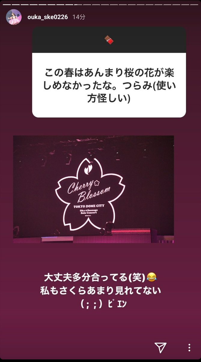 ピエン 使い方 絶品 ピェンロー鍋 の作り方 まずいレシピで作ってない